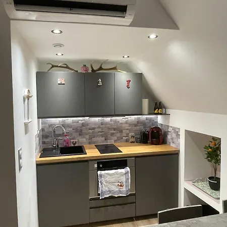 L Echappee Verte Apartamento Sainte-Marie-aux-Mines