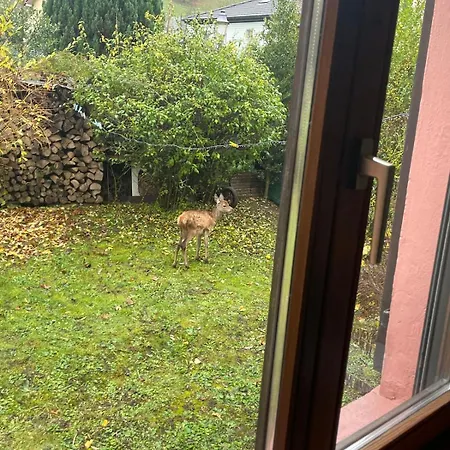 Apartamento L Echappee Verte *
